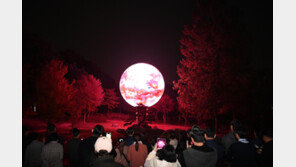 부천생태공원 ‘신비한 달’ 보러 오세요