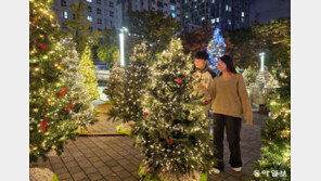 인천시청 앞은 ‘미리 크리스마스’