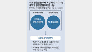 ‘한국판 골드만 삭스’ 시동… 원금보장 고수익 상품 연내 나올듯