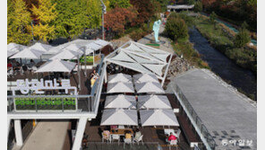 단풍멍-물멍… ‘노원 당현마루’서 힐링