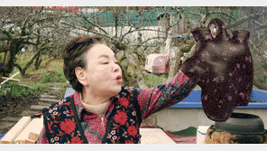 故김수미의 B급 코미디…‘홍어의 역습’ 12월 10일 개봉