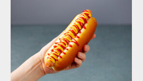 초가공식품 많이 먹는 젊은 여성, 대장암 전 단계 용종 위험 45% 높아