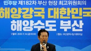 정청래 “李대통령 실용외교, 다른 나라보다 성공적”