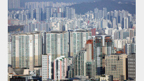 서울 거주자 주택 소유율 48.1%…절반 이상이 ‘무주택’