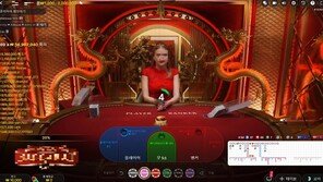 ‘인터넷 도박사이트 홍보’ 범죄수익 4억여원…국고 납입