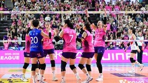 여자배구, 김연경 없이도 시청률 소폭 상승…남자부는 평균 0.5% 미만