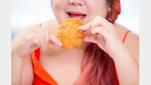 겨울만 되면 식욕 폭발? 알고보니 뇌와 호르몬의 합작품