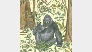 [그림책 한조각]바나나폰으로 전화를 걸면