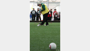 집중 또 집중… “게이트볼 치며 치매 걱정 날려요”