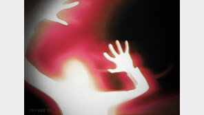 구리 유명 연예인 집에 강도…현장서 검거