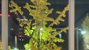 송혜교, 앤 커티스와 만남 인증…쇼트커트도 찰떡 소화 미모