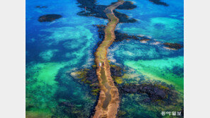 제17회 제주국제사진공모전 대상 수상작 ‘에메랄드빛 신비의 길’