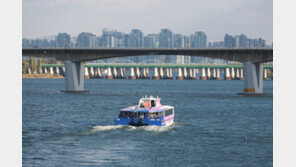 與, ‘한강버스 중단사고’에 “오세훈 사과하라…무리한 운항에 공개 면담 요청”