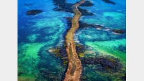 놀멍 쉬멍 걸으멍… 에메랄드빛 길에 ‘멍’해졌습니다