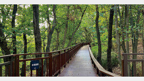 공원이 있는 삶, 걸으며 건강 다지고 힐링