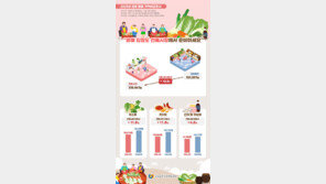 “김장용품, 전통시장이 대형마트보다 4만2천원 저렴”…평균 35만원