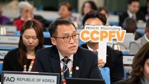 “우리 용어 추가했다”…‘김치 배추’ 국제무대 공식 등재