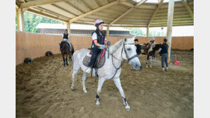 제주는 초등생부터 승마?…“사실입니다”