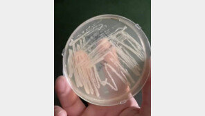 “헬스장서 맨발 샤워 마세요”…바닥에 세균 바글바글