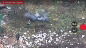 몇 걸음 먼저 지뢰 밟은 돼지…러시아 군인 2명 목숨 구해