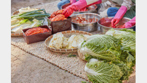 “김장 얘기만 나와도 등골 서늘”…젊은 며느리들은 11월이 두렵다