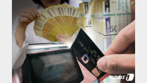 “내년 2월부터 65세 이상 고령층 ‘카드포인트 자동사용 서비스’ 적용”