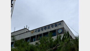 “전 연인 휴대전화 뺏어줘”…경찰, 10대 사주한 30대 여성 체포