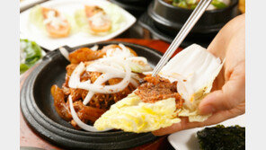 “네 가지만 기억하자”…김장 성공 위한 ‘최고의 배추’ 고르는 법 [알쓸톡]