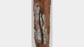 5~6세기 가야 대도, 고구려의 흔적이…