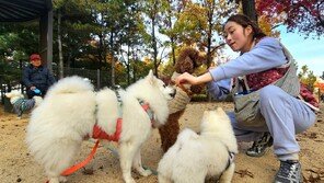 누가 먼저 간식 먹을래?