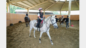 제주 학생들, 내년에도 ‘1인 1스포츠’