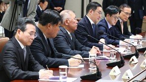 李대통령, 대기업 회장단과 정기 회동 추진
