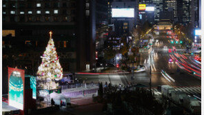 서울은 미리크리스마스, 서울광장에 불 밝힌 대형 성탄트리