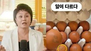 난각번호 4번인데, 프리미엄 가격? 이경실 달걀 논란