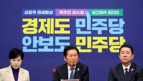 민주 ‘전당원 투표 논란’에 “당원 의견 듣는 절차…당원 자격 논란 안타까워”