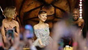 아리아나 그란데 신체접촉 男, 결국 징역 9일…행사 난입 전력도