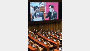 한동훈 vs 박범계 토론 성사?…朴 “깐족대는 태도 바꾸면” 韓 “공손히 답변”