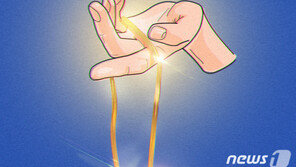 훔친 카드로 1600만원 금목걸이 구입한 10대 실형 구형