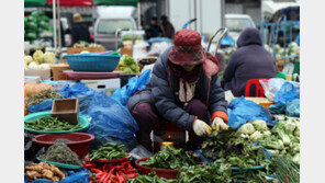 올해 김장비용 20만1000원…전년 대비 5.6% 낮아