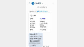 체크카드서 소유주도 모르게 10만원 빠져나가