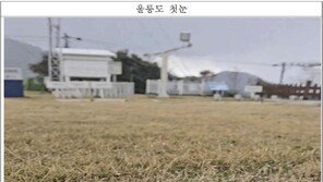 울릉도서 올해 첫눈…작년과 동일, 평년보단 2일 늦어