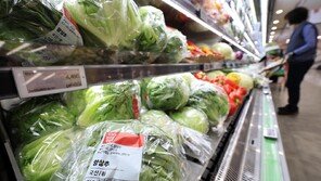 ‘양상추 대란’ 양배추 혼용하고 샐러드 판매 중단