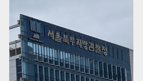 ‘8억’ 탈세 위해 위장 이혼·자금세탁까지…처형 내연녀 행세