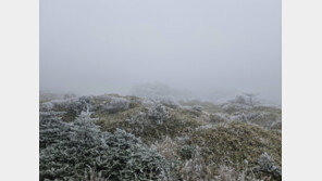 제주도 산지 대설주의보…“모레까지 최대 7㎝”