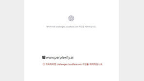 챗GPT·퍼플렉시티, 클라우드플레어 장애에 서비스 마비