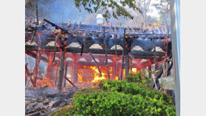 전국 사찰 10곳중 6곳 “산불 피해 위험 높아”