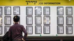 대기업 절반 “2030채용때, 전공-경험 등 전문성 중시”