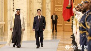 韓-UAE, 글로벌 원전시장 공동 진출… 반도체 공급망도 협력