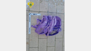 아들 살해 뒤 연못에 시신 일부 유기한 母…“정신병 전력”