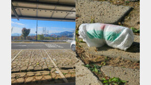 케이블카 주차장에 ‘똥 기저귀’까지 투척…버려진 양심